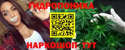 прущий лед Новозыбков