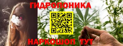 спайс Новодвинск