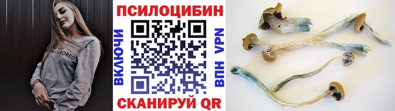 Галлюциногенные грибы Psilocybine cubensis Прохладный